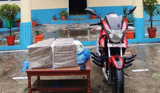 वराहक्षेत्रबाट २५ केजी गाजा बरामद, एक युवक पक्राउ