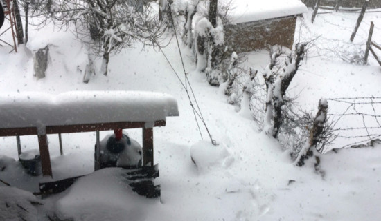 प्रादेशिक अस्पतालमा क्यान्सर उपचार सेवा विस्तार