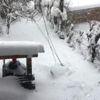 कार्यालय प्रमुखलाई अख्तियारी नहुँदा मालपोतको सेवा ठप्प