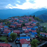 मदिरा : उता प्रतिबन्ध, यता फस्टाउँदै