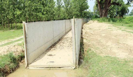 रसुवागढी नाकामा रोकिएका सबै कन्टेनर नेपाल भित्रिए