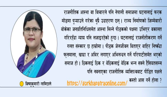 हिंसाका घटनाको वकालत र प्रभाव