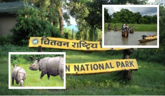 वन्यजन्तु संरक्षण गर्न कृत्रिम ताल निर्माण