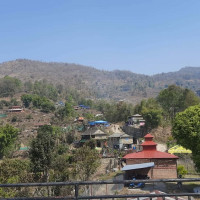 संसारभरका उडान, मिडिया र बैंक प्रभावित