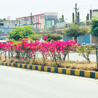 गौरवशाली इतिहासमा नयाँ मानक