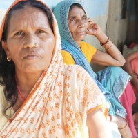 किसान चैतेधान रोप्नमा व्यस्त