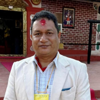 चिया निर्यातमा सुधार, साठी हजारलाई रोजगारी