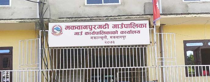 बेसार र अदुवा प्रवर्धन गर्न बिउमा अनुदान