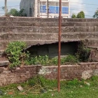 हात्तीको स्वास्थ्य परीक्षण गर्दै चिकित्सक