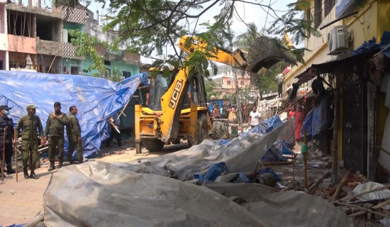 बेसार र अदुवा प्रवर्धन गर्न बिउमा अनुदान