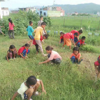 सशस्त्र प्रहरी महानिरीक्षक कप : एपिएफ ‘ए’ र पुलिस स्कुल सेमिफाइनलमा