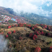 कालीका कप भलिबलमा इलाइट च्याम्पियन