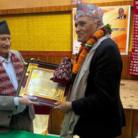 प्रधानमन्त्री कप क्रिकेट : आर्मीको अपराजित यात्रा जारी