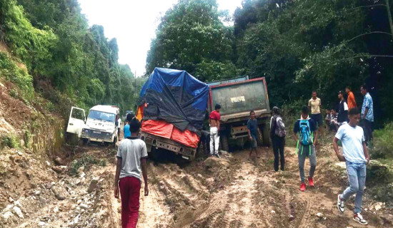 चौध महिनामा सात प्रतिशत काम