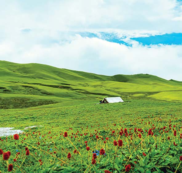 आरोग्य पर्यटन प्रवर्धन गर्न संयन्त्र बन्दै