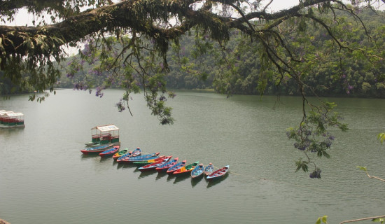 ऊर्जामन्त्री खड्का अन्तर्राष्ट्रिय सौर्य सम्मेलनमा सहभागी