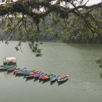 धादिङमा मतगणना जारी : क्षेत्र नं. १ मा रास्वपा, क्षेत्र नं. २ मा नेकपा अगाडि