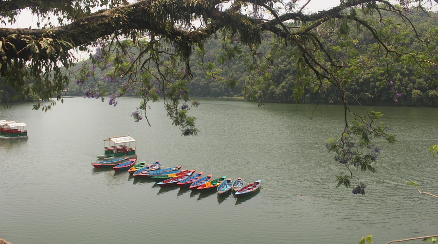 फेवातालबारे प्रधानमन्त्रीको चासो, अतिक्रमण हटाइँदै
