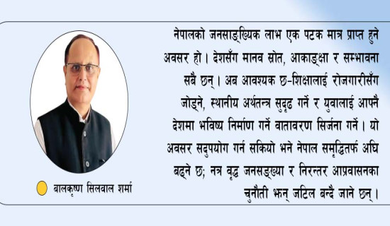 जनसाङ्ख्यिक लाभ