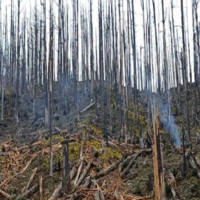 आज दुई प्रदेशमा वर्षाको सम्भावना