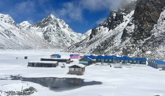 गुल्मीमा नयाँभन्दा प्रतिलिपि नागरिकता लिने धेरै