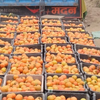 अछाम–१ मा भीम रावलको प्रारम्भिक अग्रता