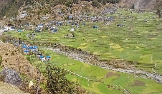 शासकीय सुधार मार्गचित्र