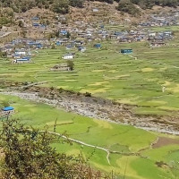 स्वर्गीय शाह स्मृति पत्रकारिता पुरस्कार शर्मा र सिंहलाई प्रदान