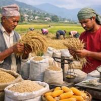 पर्यटक लोभ्याउन नदी थुनेर ताल