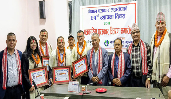 महासङ्घको स्थापना दिवसमा तनहुँका छ पत्रकार पुरस्कृत