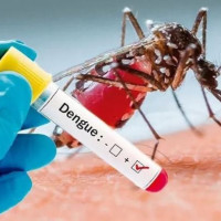 विकास निर्माण सामग्रीको ढुवानी घट्यो