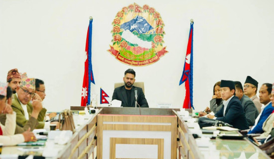 नयाँ सरकार गठनबारे छलफल