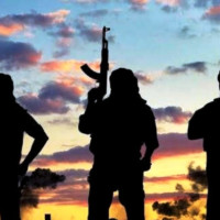 पकेट क्षेत्रकै सुन्तलामा औँसा कीराको प्रकोप