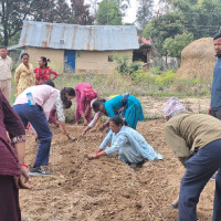 सडेको अवस्थामा शव फेला