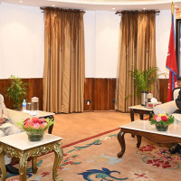 सडक ऐनको संशोधन विधेयक पारित