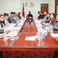 तयार हुँदै दलका घोषणापत्र