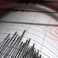 घले हार्भेष्टिङ अष्ट्रेलियाले जित्यो कालीका कप उपाधि