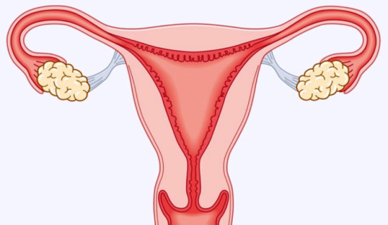 वीर अस्पतालमा आजदेखि महिलालाई निःशुल्क क्यान्सर परीक्षण