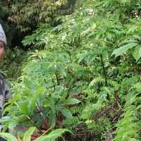 अर्थतन्त्रले गति लिने सङ्केत