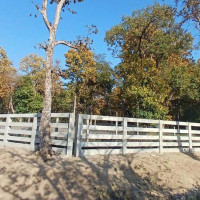 झाडी फाँडेर चिया रोप्दै काठेखोला गाउँपालिका