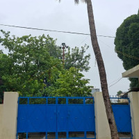 झापामा दुवै दारा काटिएको मृत हात्ती फेला