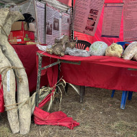 कालिजपालनबाट आकर्षक आम्दानी