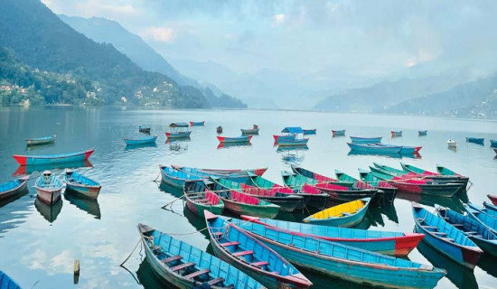 फेवा अतिक्रमण हटाउने कार्य तीव्र