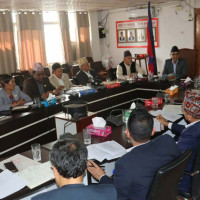 एकल महिलालाई दुहुनो गाई