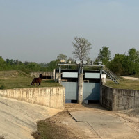 ‘स्वतः स्थायी हुने कानुन बन्दैन’