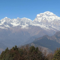 गण्डकीमा सभामुखको चयन आज हुँदै