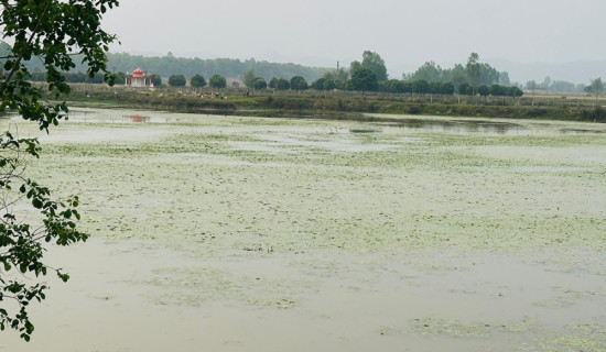 ओझालाई लरेट पुरस्कार प्रदान