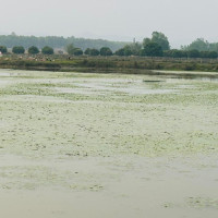 महामन्त्री पौडेलको प्रतिज्ञा : काठमाडौँ–५ लाई ‘डिजिटल इनोभेसन हब’ बनाउने