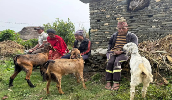 ‘प्रिमियम हस्पिटालिटी आउटलेट’ निर्माणमा ‘आरजी क्रिएसन्स’