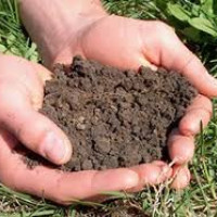 लोक सेवा विशेष वस्तुगत प्रश्नोत्तर